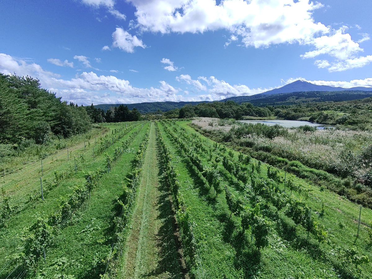 TOYOSHIMA FARM